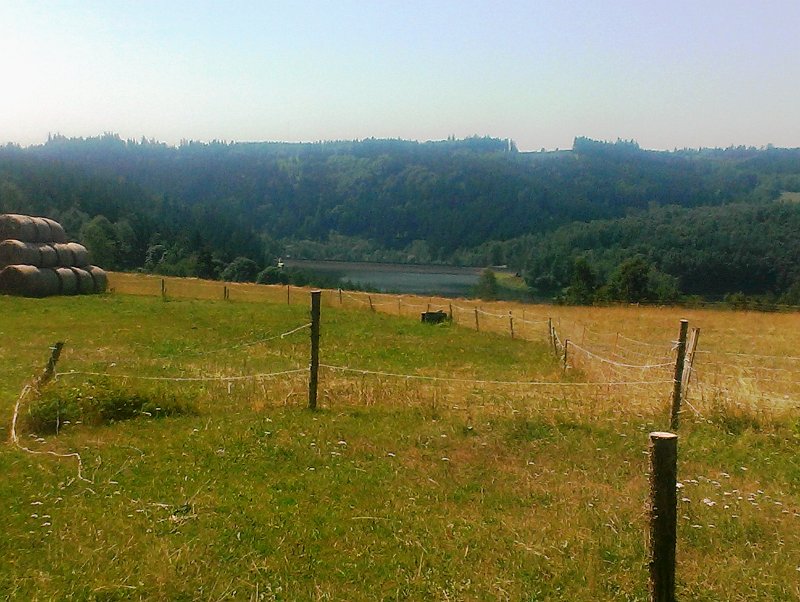 IMAG0965