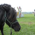DSCN3546