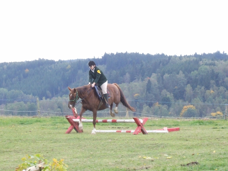 DSCF5440