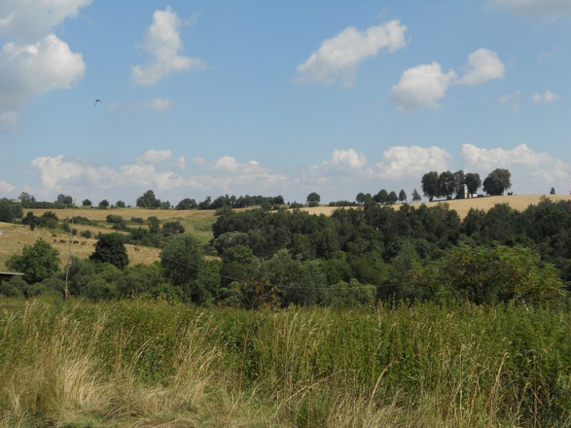 DSCN3525