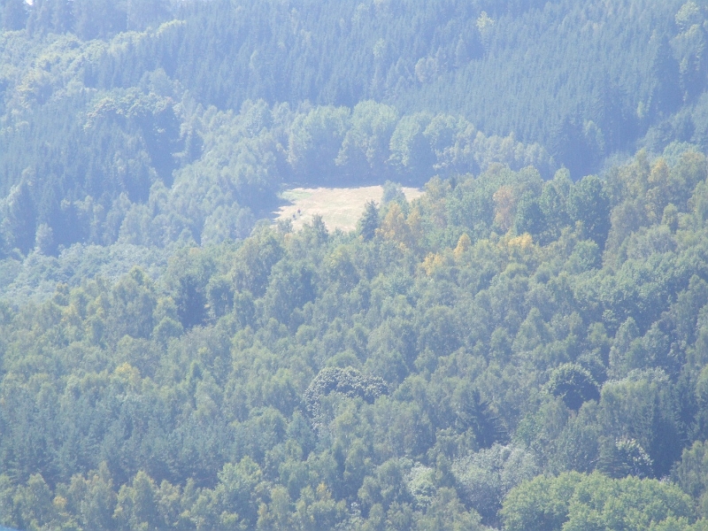 DSCF4743